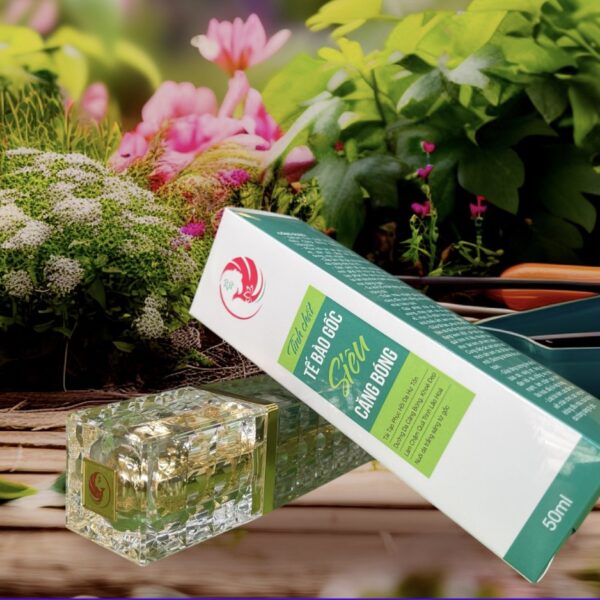 Tế bào gốc siêu căng bóng